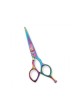 Professional Hair Cutting Scissors